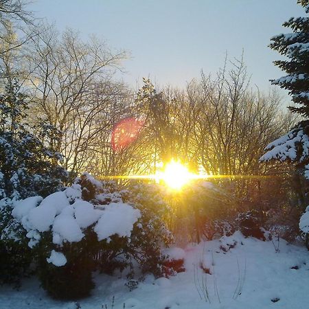 Sov Godt I Arnborg Bed & Breakfast Dış mekan fotoğraf
